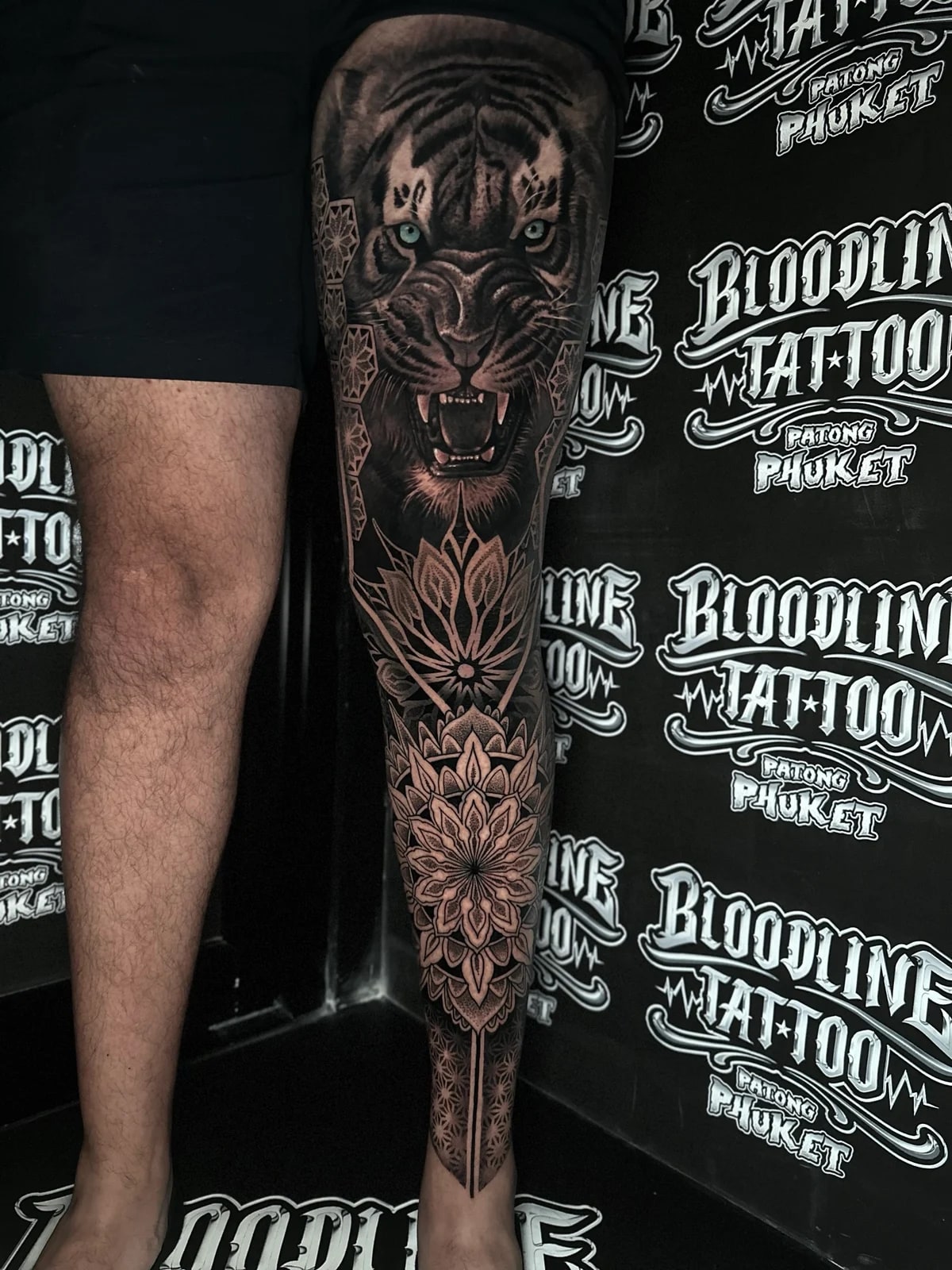 Leg tattoo combining a snarling tiger portrait with light eyes, hexagonal filler, and large knee and shin lotus mandalas at Bloodline Tattoo Phuket.